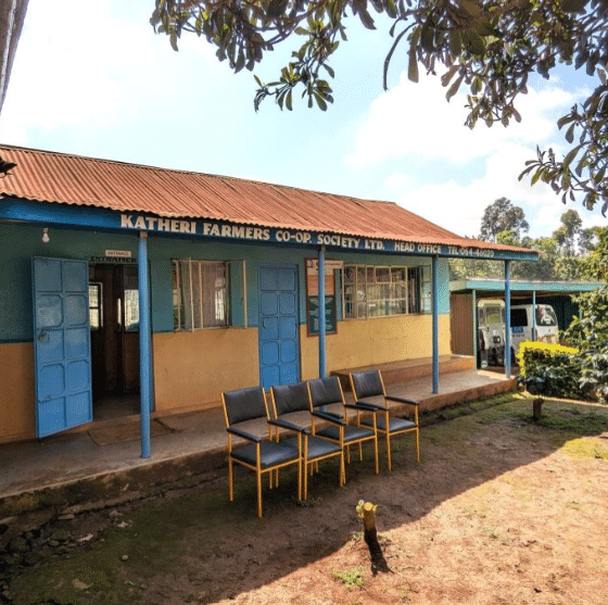 Kenya, Meru - Washed Process - Light Roast - Image 2