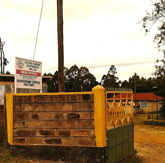 Kenya, Meru - Washed Process - Light Roast - Image 3